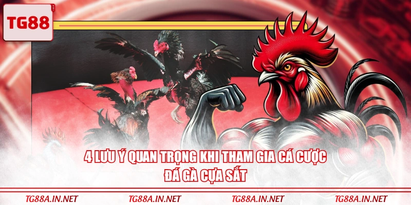 4 lưu ý quan trọng khi tham gia cá cược đá gà cựa sắt