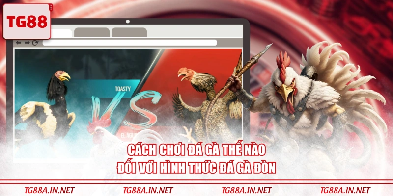 Cách chơi đá gà thế nào đối với hình thức đá gà đòn