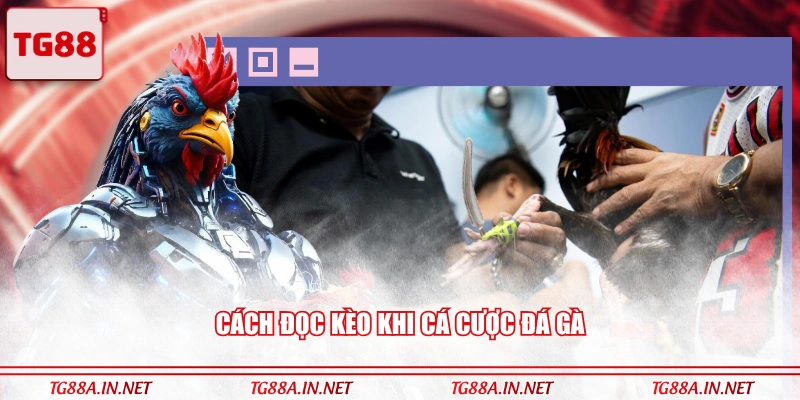 Cách đọc kèo khi cá cược đá gà