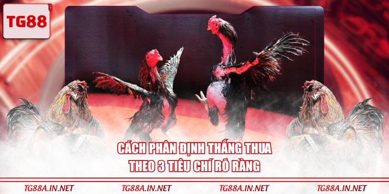 Cách phân định thắng thua theo 3 tiêu chí rõ ràng