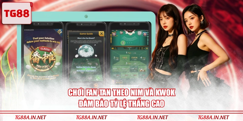 Chơi Fan-Tan theo Nim và Kwok đảm bảo tỷ lệ thắng cao