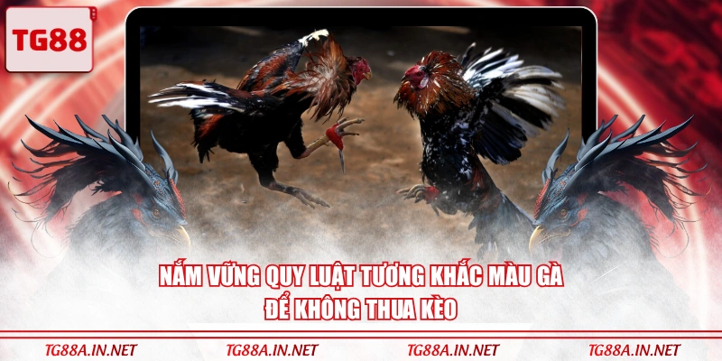 Nắm vững quy luật tương khắc màu gà để không thua kèo