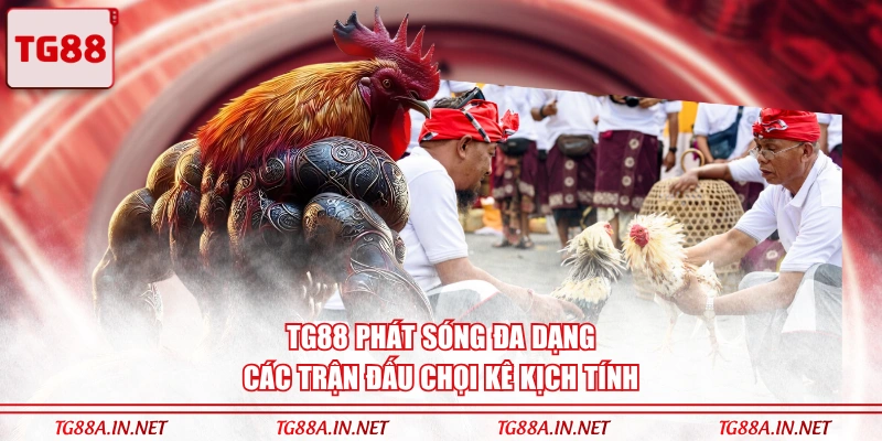 TG88 phát sóng đa dạng các trận đấu chọi kê kịch tính