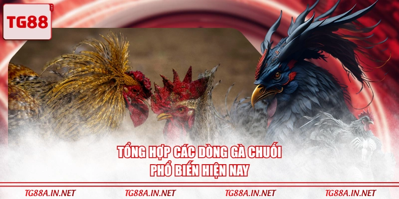 Tổng hợp các dòng Gà Chuối phổ biến hiện nay