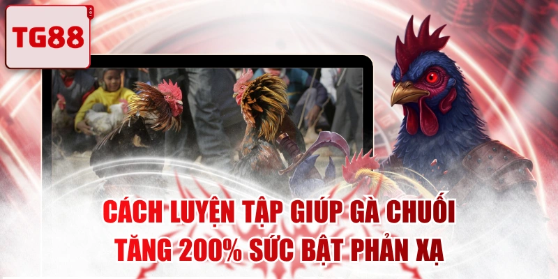 Cách Luyện Tập Giúp Gà Chuối Tăng 200% Sức Bật Phản Xạ