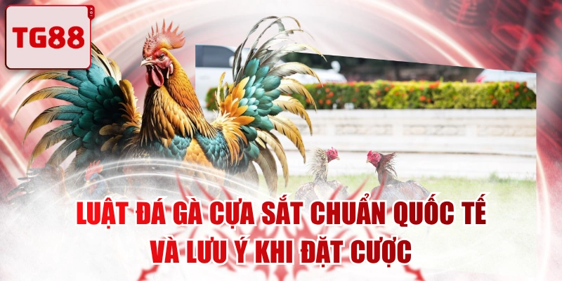 Luật Đá Gà Cựa Sắt Chuẩn Quốc Tế Và Lưu Ý Khi Đặt Cược