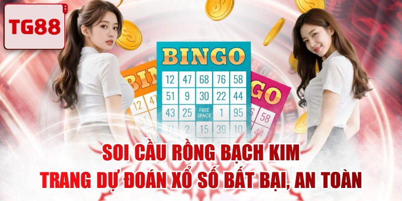 Soi Cầu Rồng Bạch Kim - Trang Dự Đoán Xổ Số Bất Bại, An Toàn