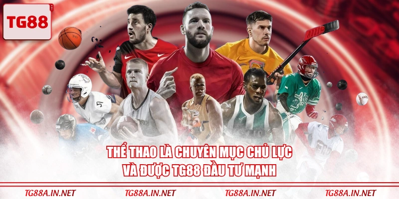 Thể Thao là chuyên mục chủ lực và được TG88 đầu tư mạnh